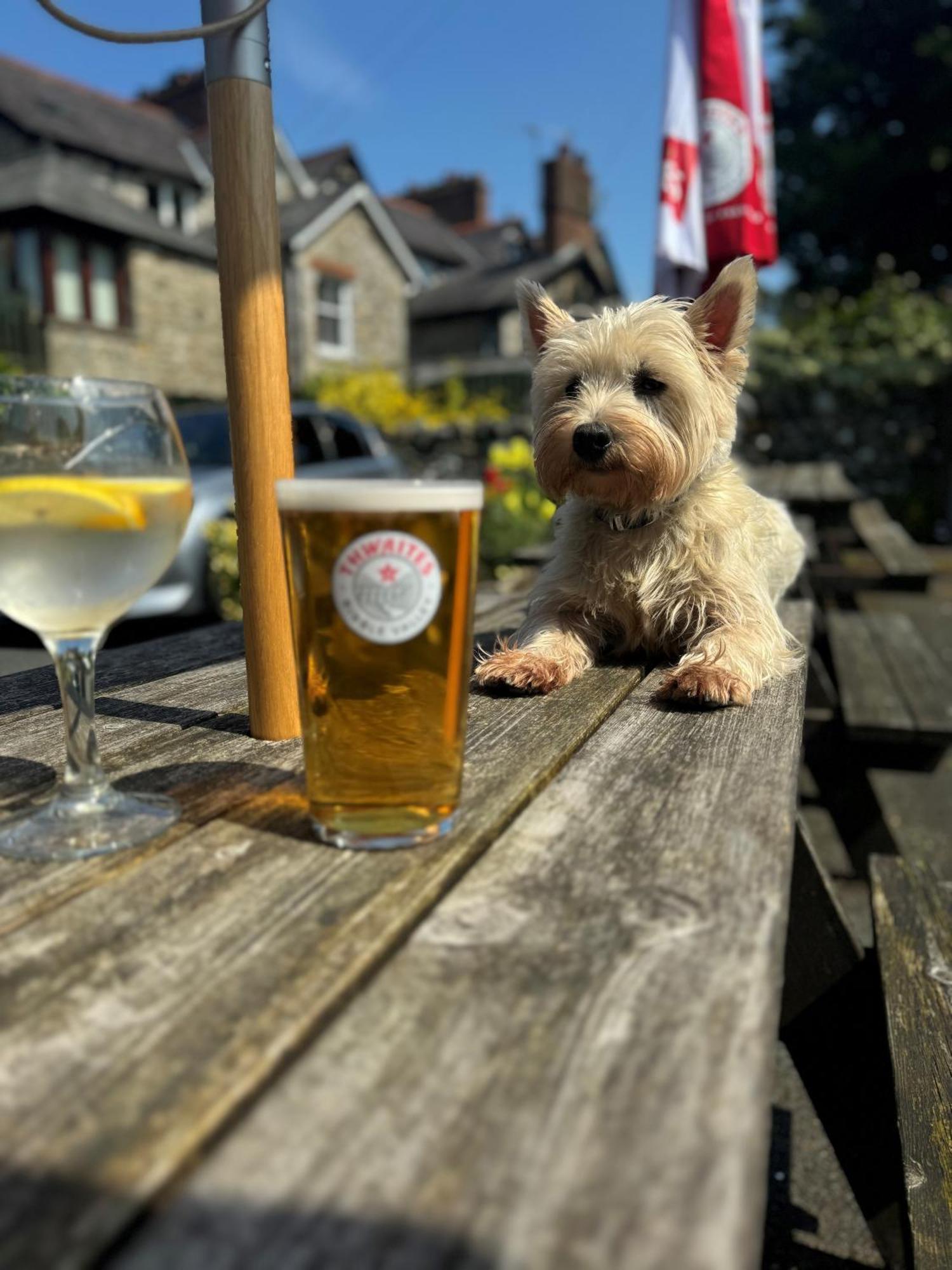 Craven Heifer Hotel Ingleton  Buitenkant foto